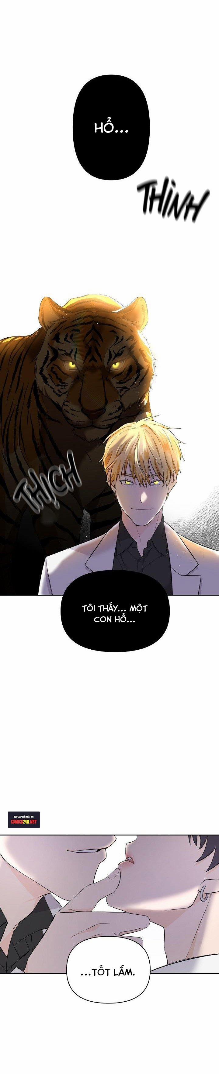 Hoa Ly Hổ 1 trang 21