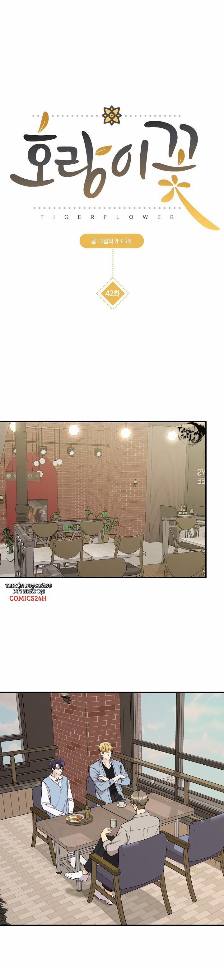 Hoa Ly Hổ 42 trang 1