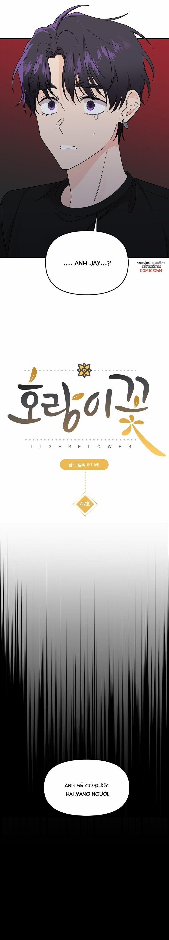 Hoa Ly Hổ 47 trang 11