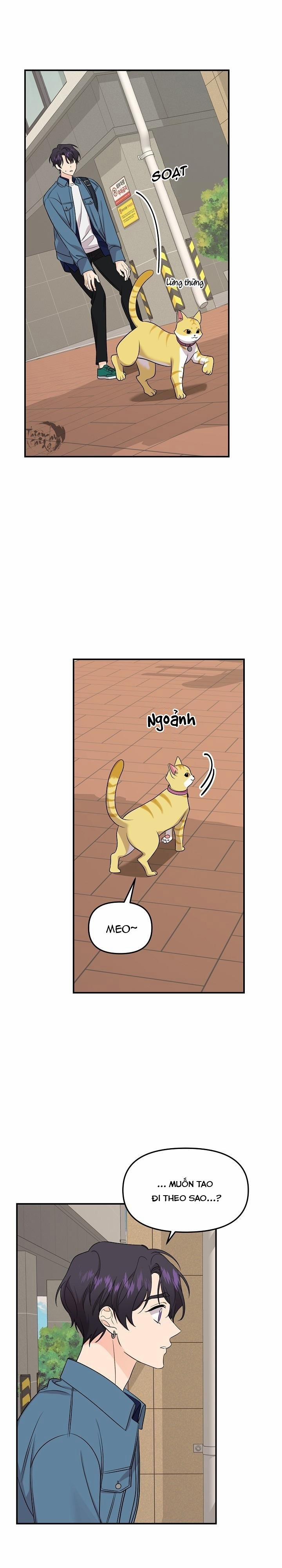 Hoa Ly Hổ 49 trang 5