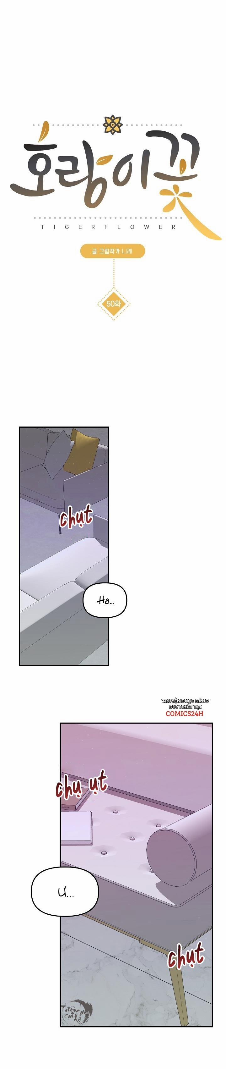 Hoa Ly Hổ 50 trang 1