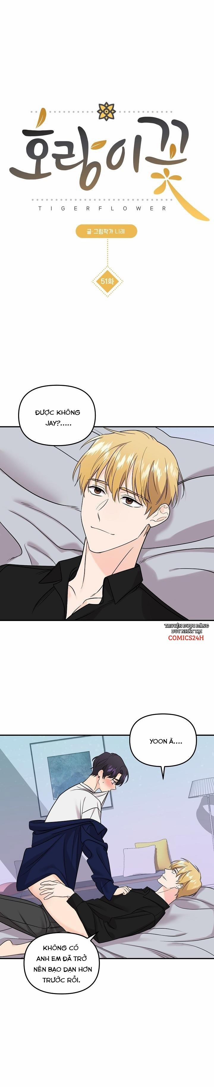 Hoa Ly Hổ 51 trang 1