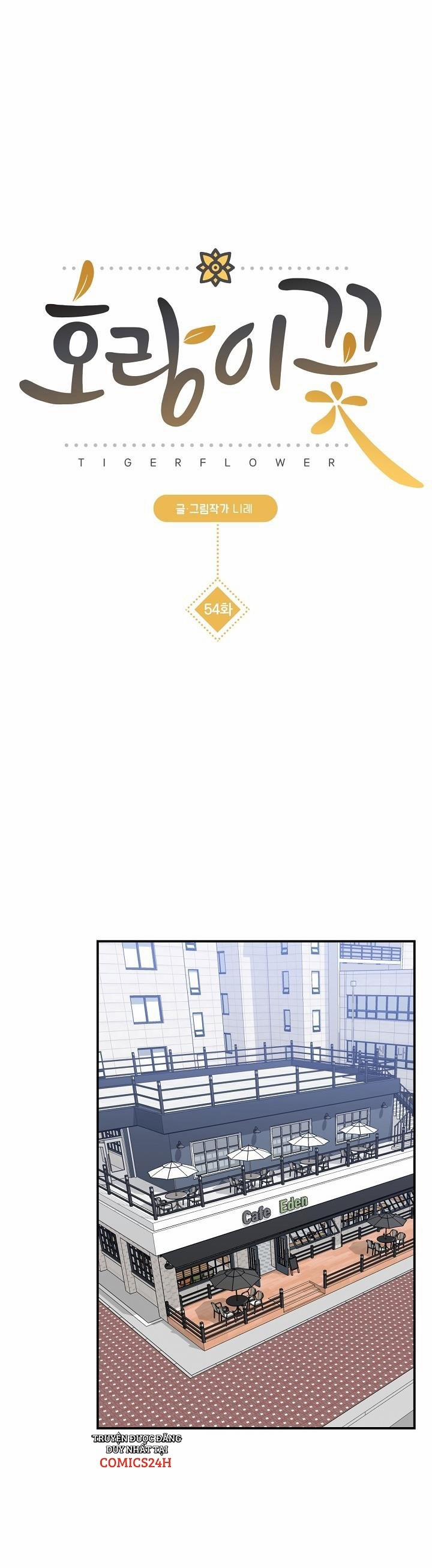 Hoa Ly Hổ 54 trang 1