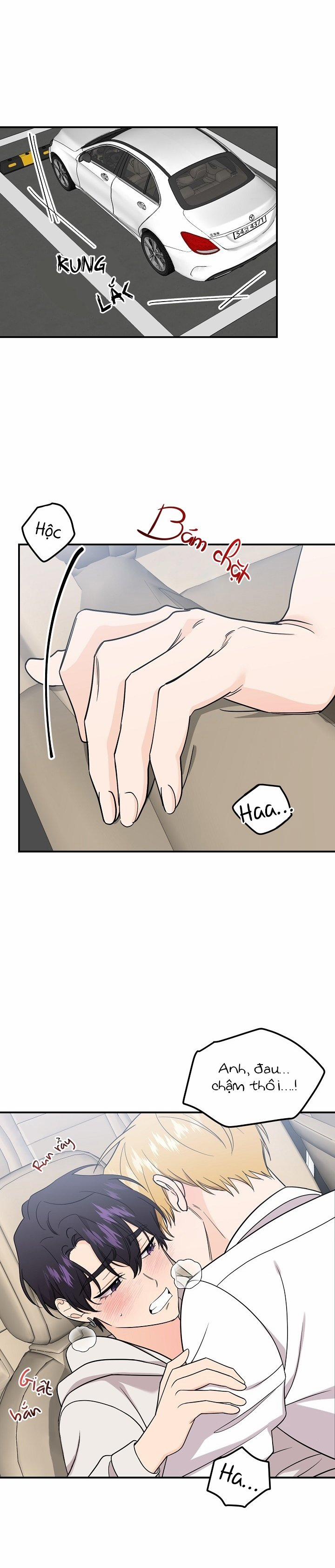 Hoa Ly Hổ 55 trang 14