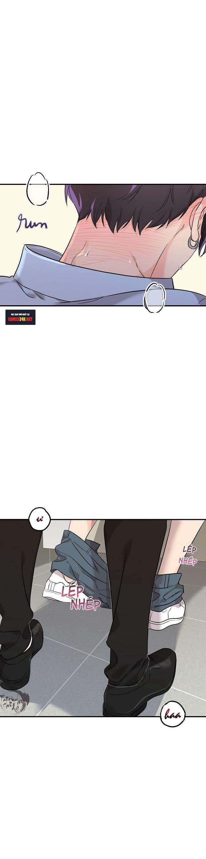 Hoa Ly Hổ 8 trang 1