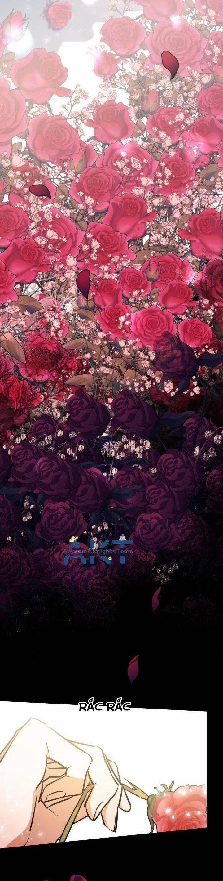 Hoa Nguyệt Quế Đỏ Tặng Hoàng Đế Của Tôi 13 trang 37