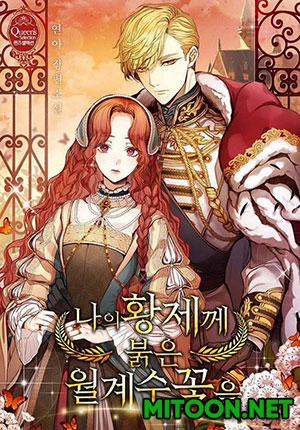 Đọc truyện tranh Hoa Nguyệt Quế Đỏ Tặng Hoàng Đế Của Tôi