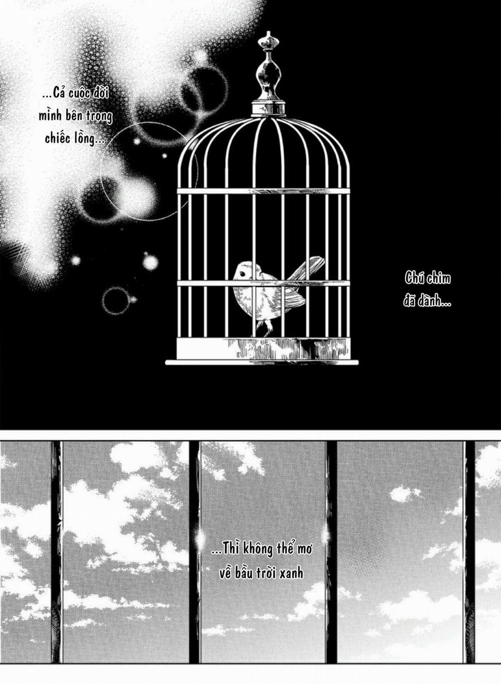 Hoạ Sư Sau Bức Màn 3 trang 1