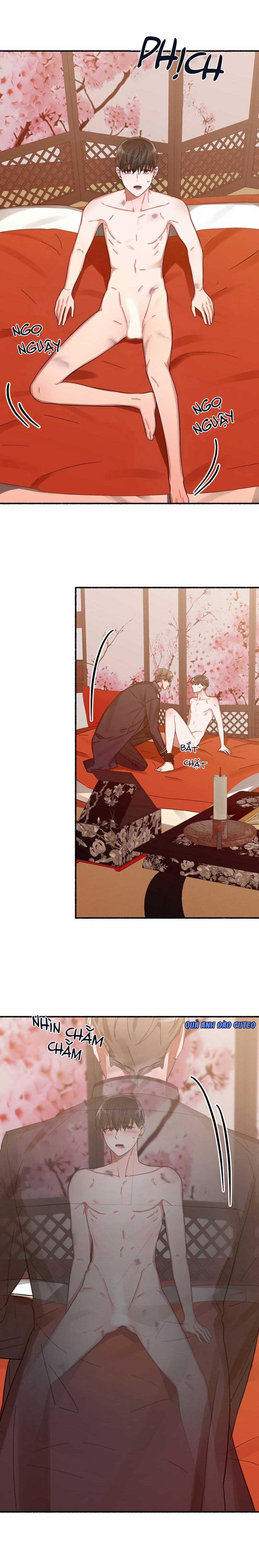Hoa Triều 10 trang 16