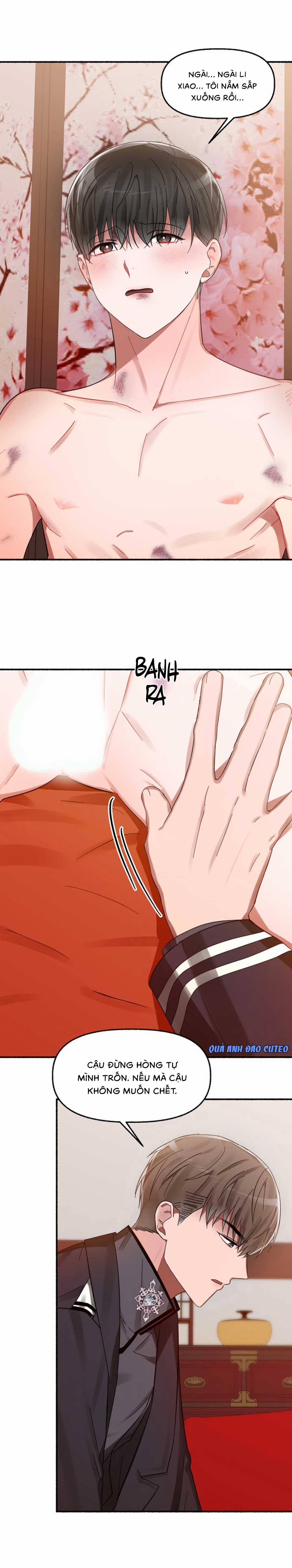 Hoa Triều 10 trang 17