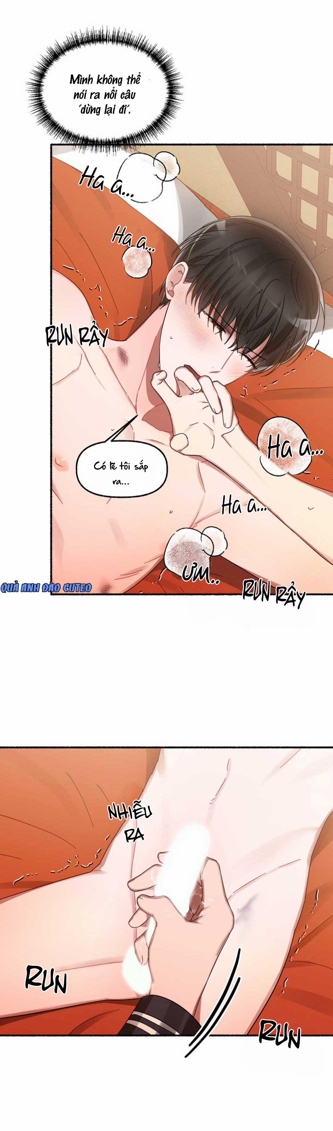 Hoa Triều 10 trang 19