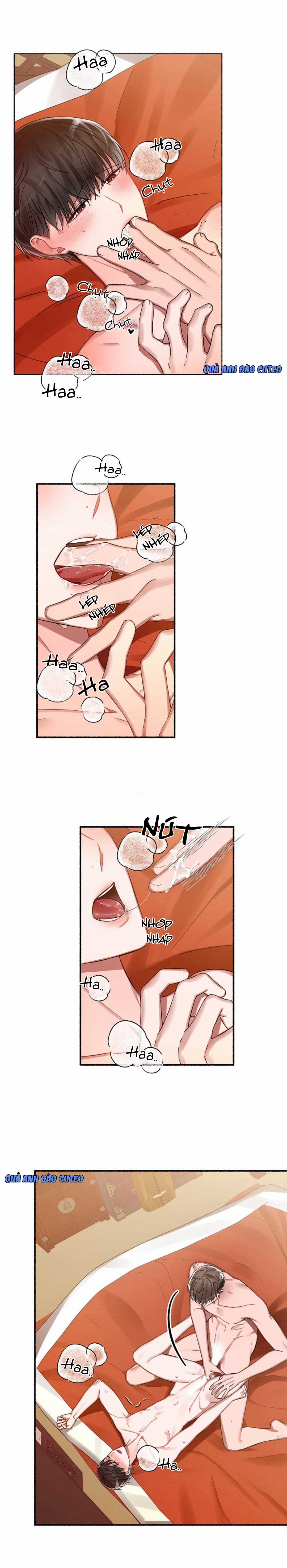 Hoa Triều 11 trang 1