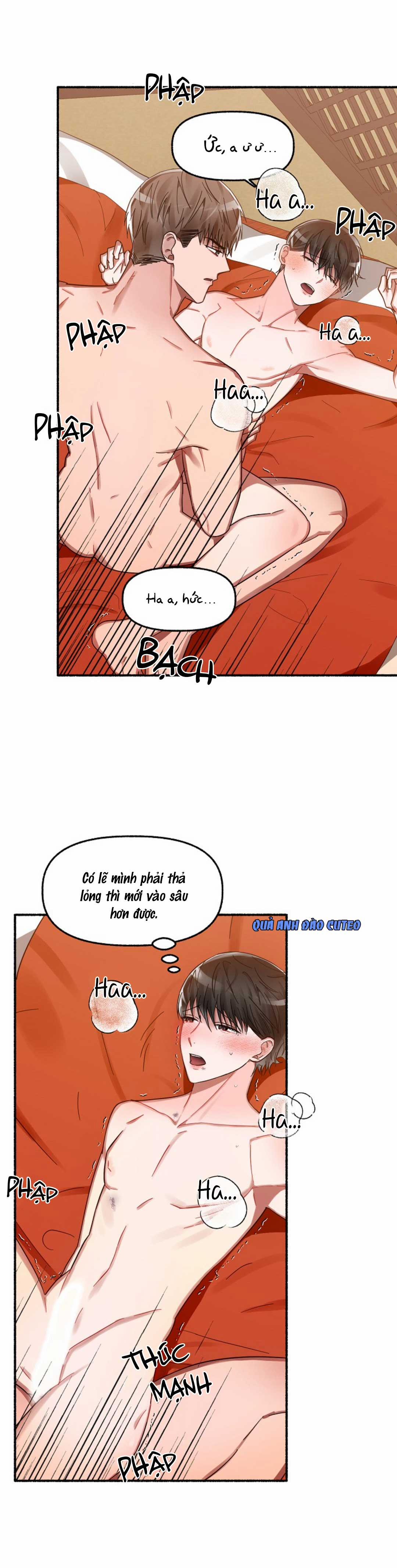 Hoa Triều 11 trang 10