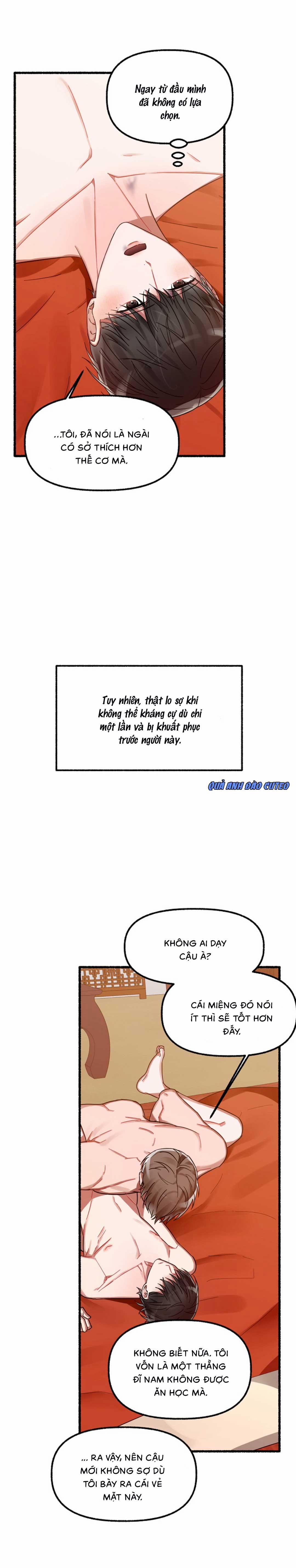 Hoa Triều 11 trang 14