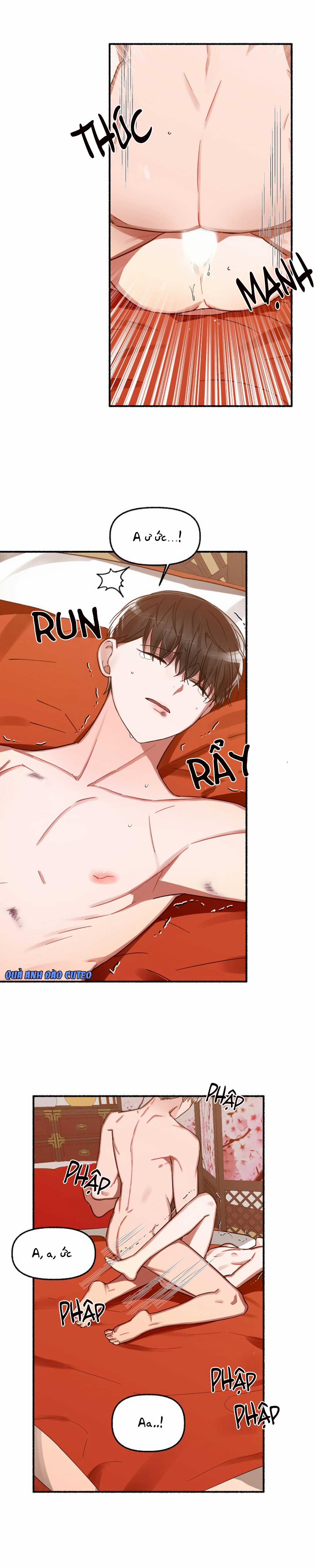 Hoa Triều 11 trang 9