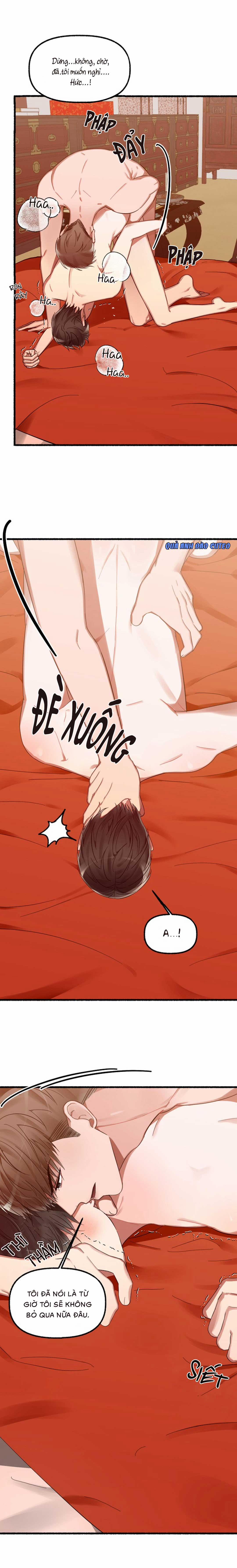 Hoa Triều 12 trang 1