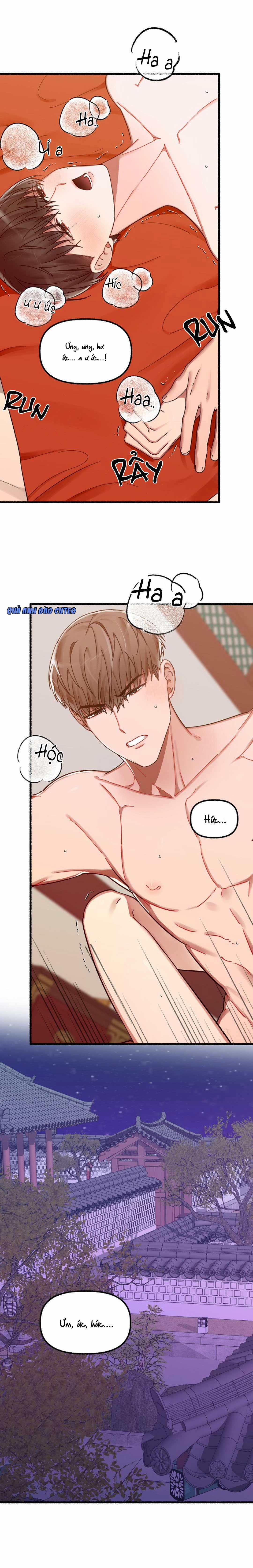 Hoa Triều 12 trang 16