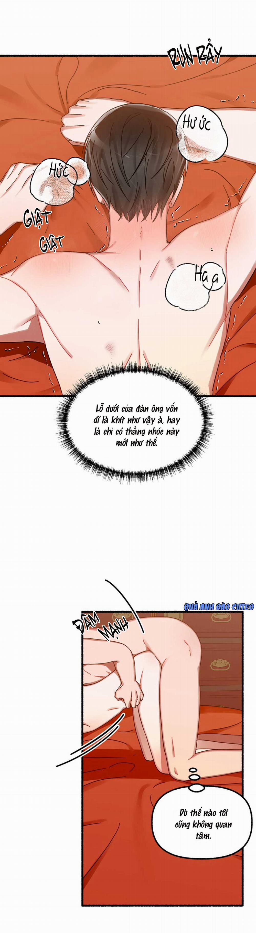 Hoa Triều 12 trang 5