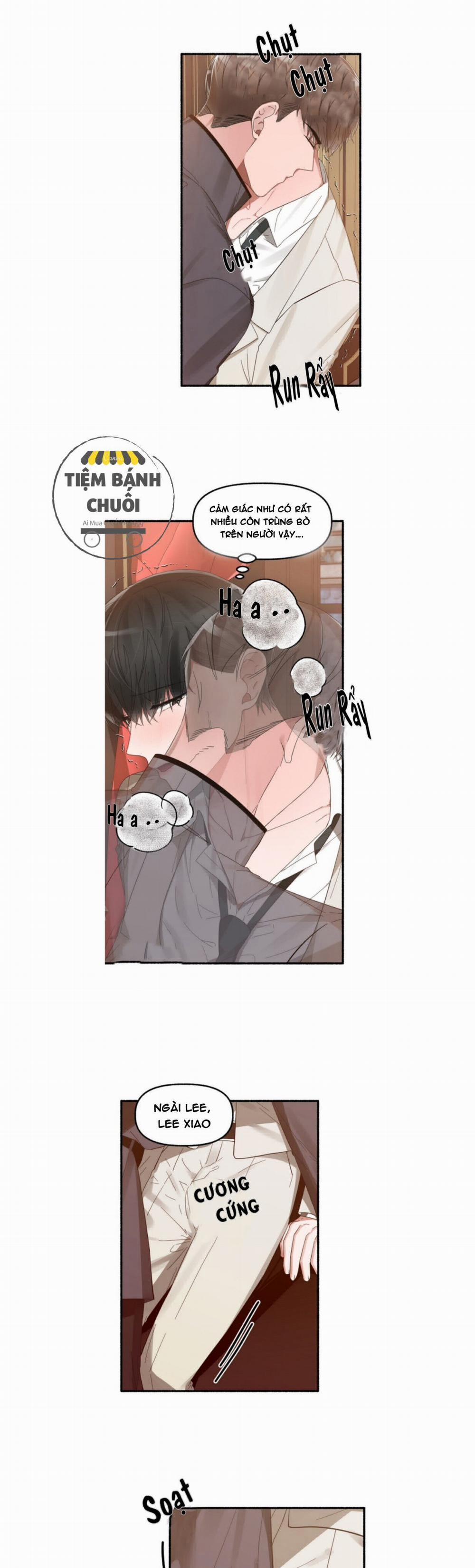 Hoa Triều 14 trang 0