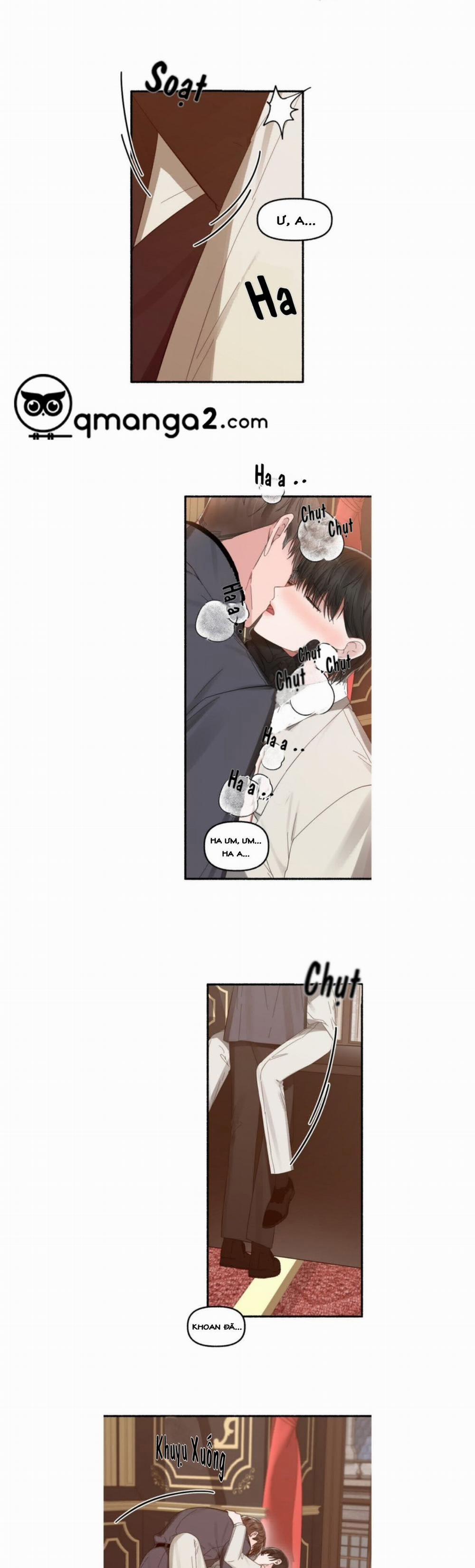 Hoa Triều 14 trang 11