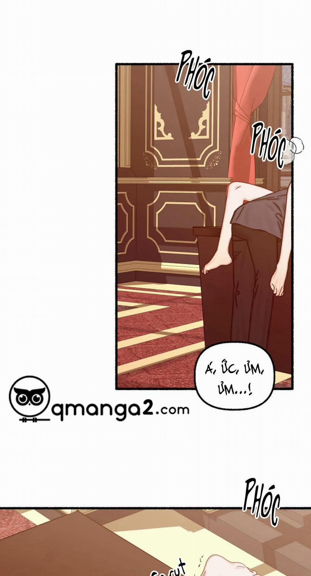 Hoa Triều 15 trang 0