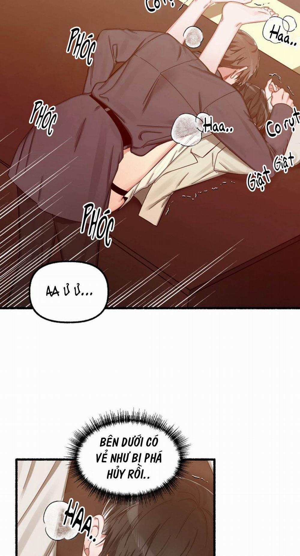 Hoa Triều 15 trang 1