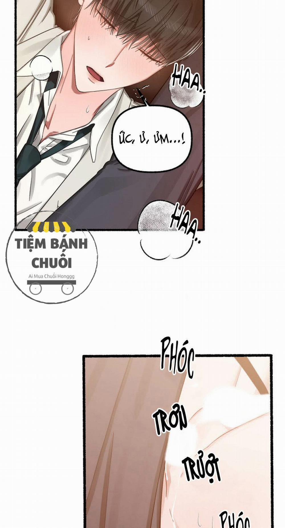 Hoa Triều 15 trang 2