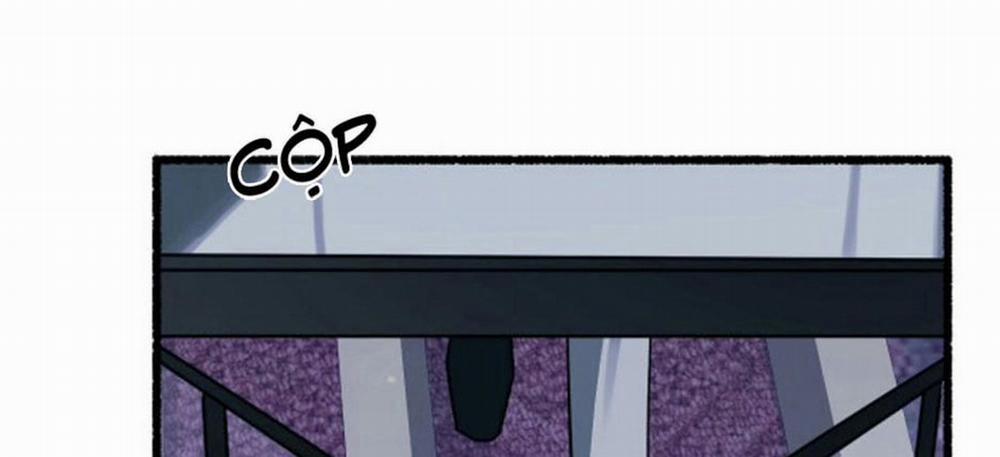 Hoa Triều 16 trang 13