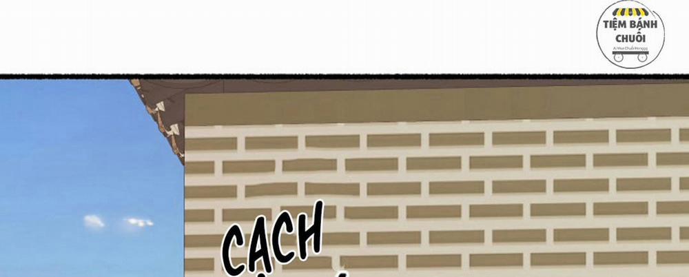 Hoa Triều 16 trang 137