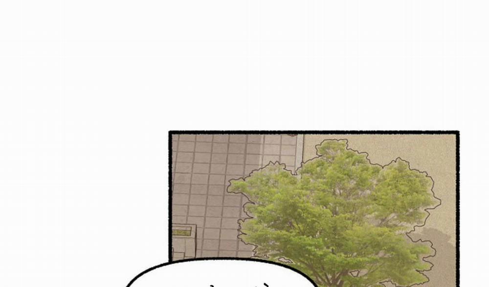 Hoa Triều 16 trang 155