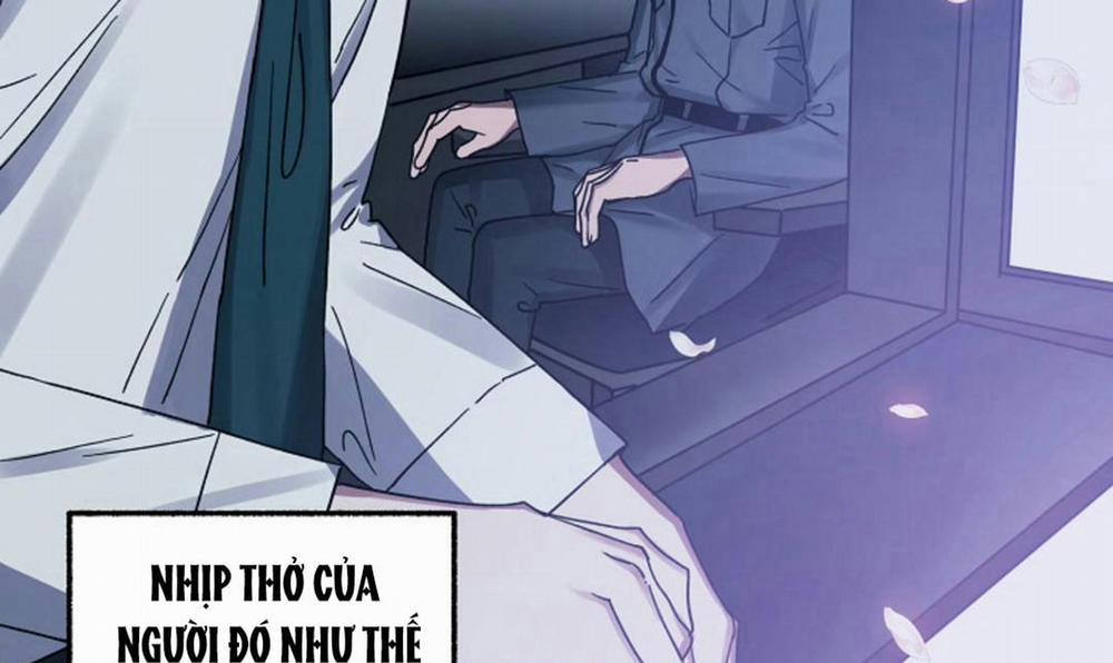 Hoa Triều 16 trang 24