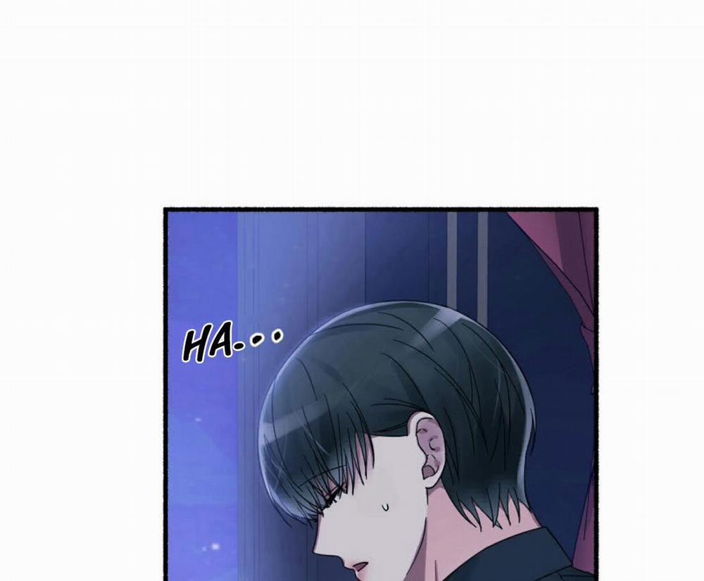 Hoa Triều 16 trang 78