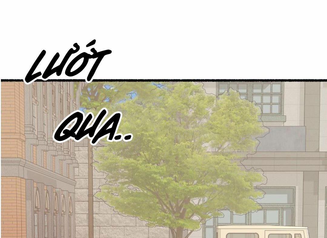 Hoa Triều 17 trang 93