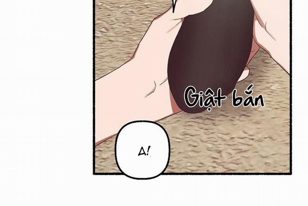 Hoa Triều 18 trang 99