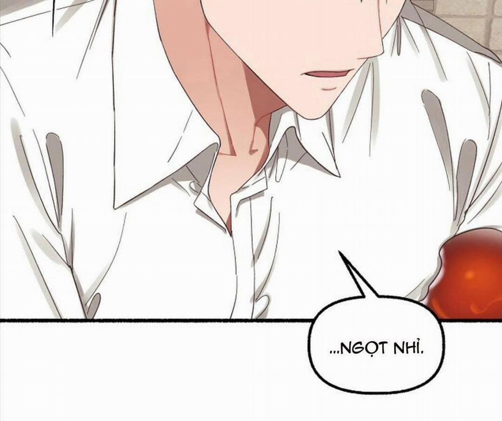 Hoa Triều 19 trang 1