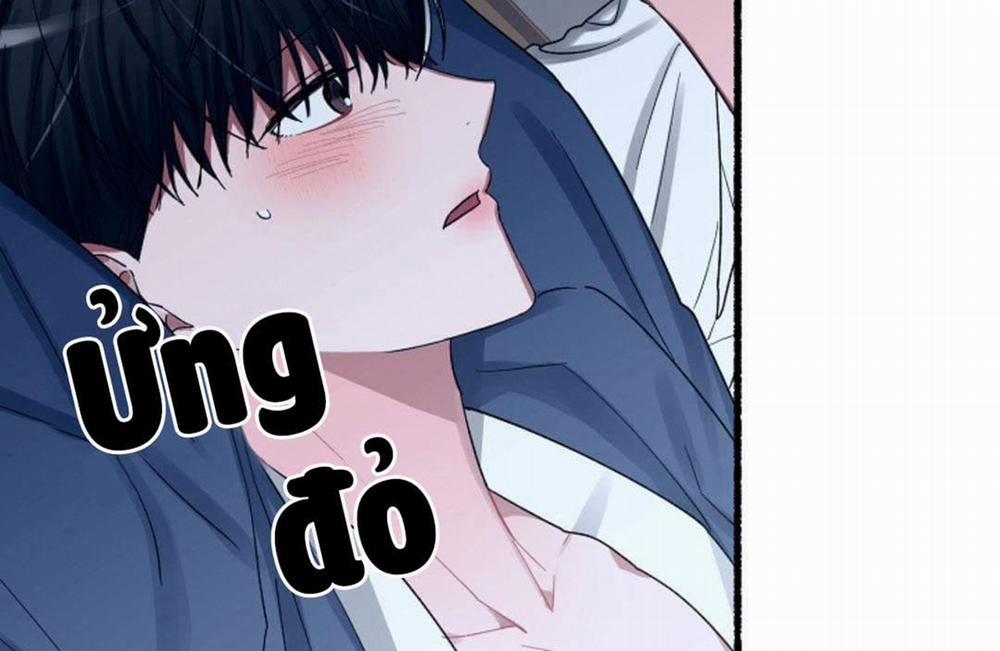 Hoa Triều 20 trang 31