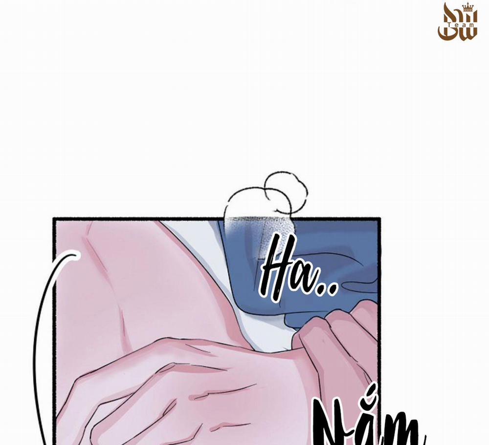 Hoa Triều 21 trang 130