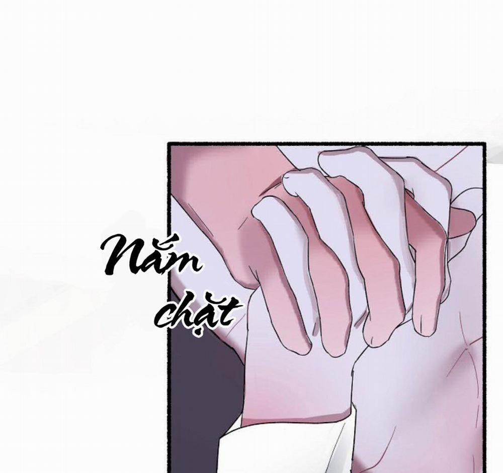 Hoa Triều 21 trang 28