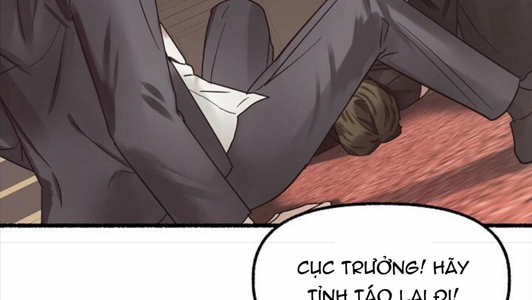 Hoa Triều 24 trang 181