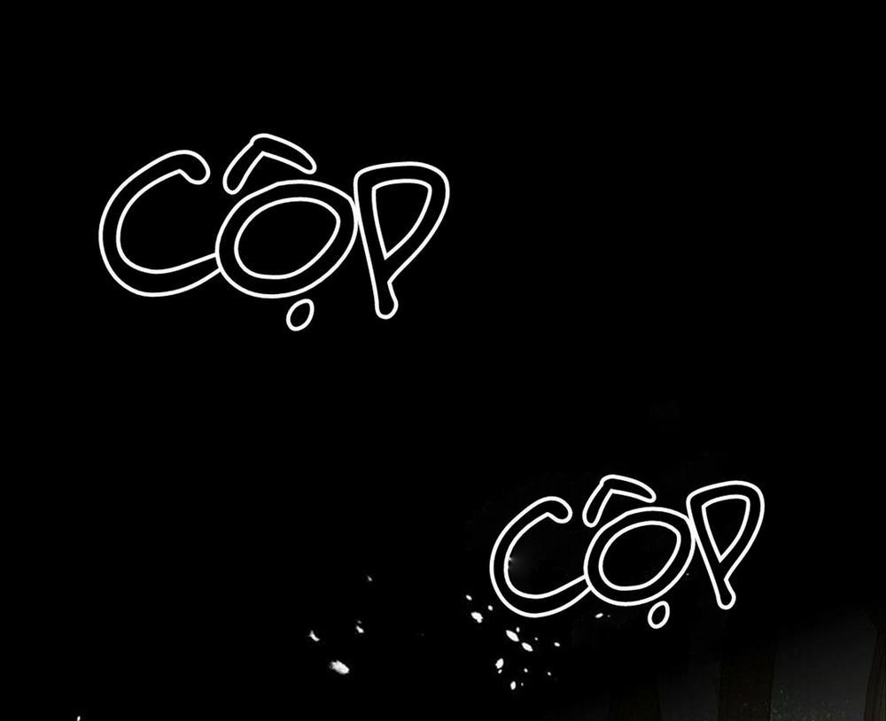 Hoa Triều 25 trang 0