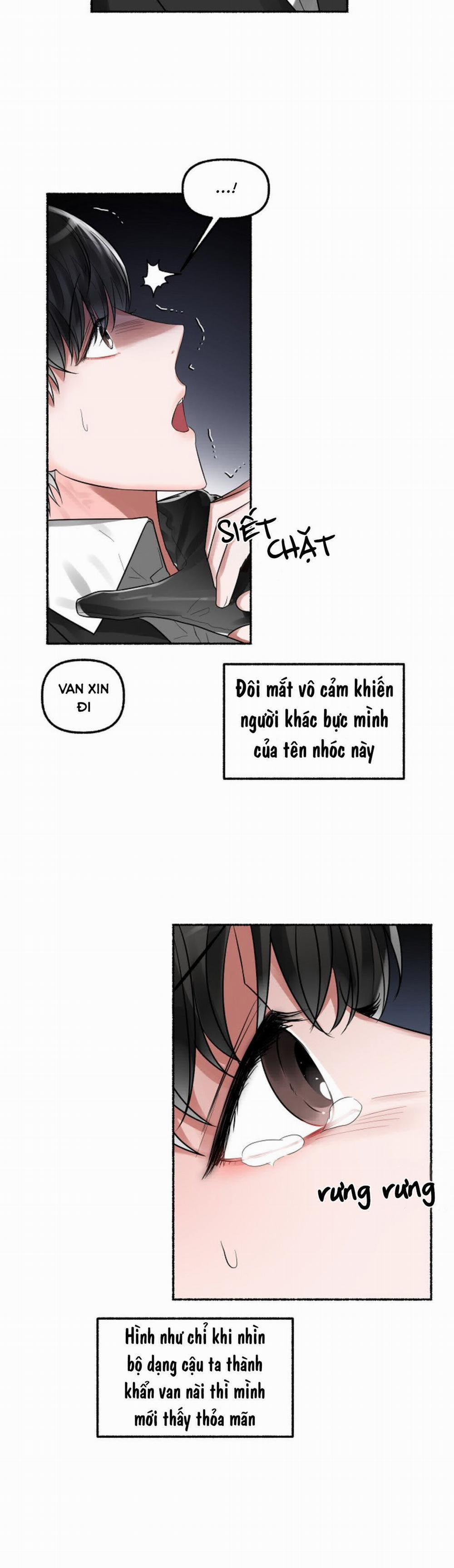 Hoa Triều 5 trang 18