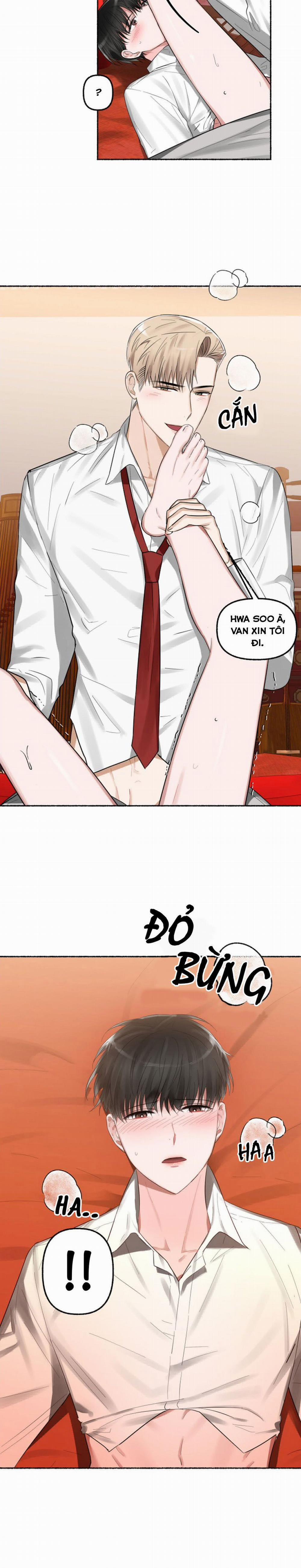 Hoa Triều 6 trang 16