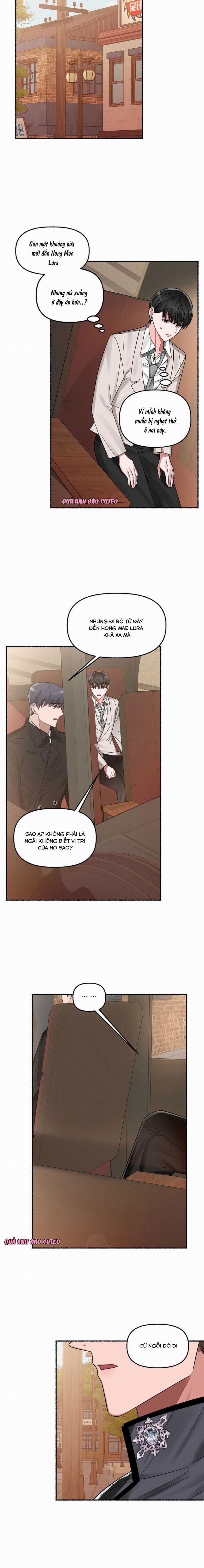 Hoa Triều 8 trang 9