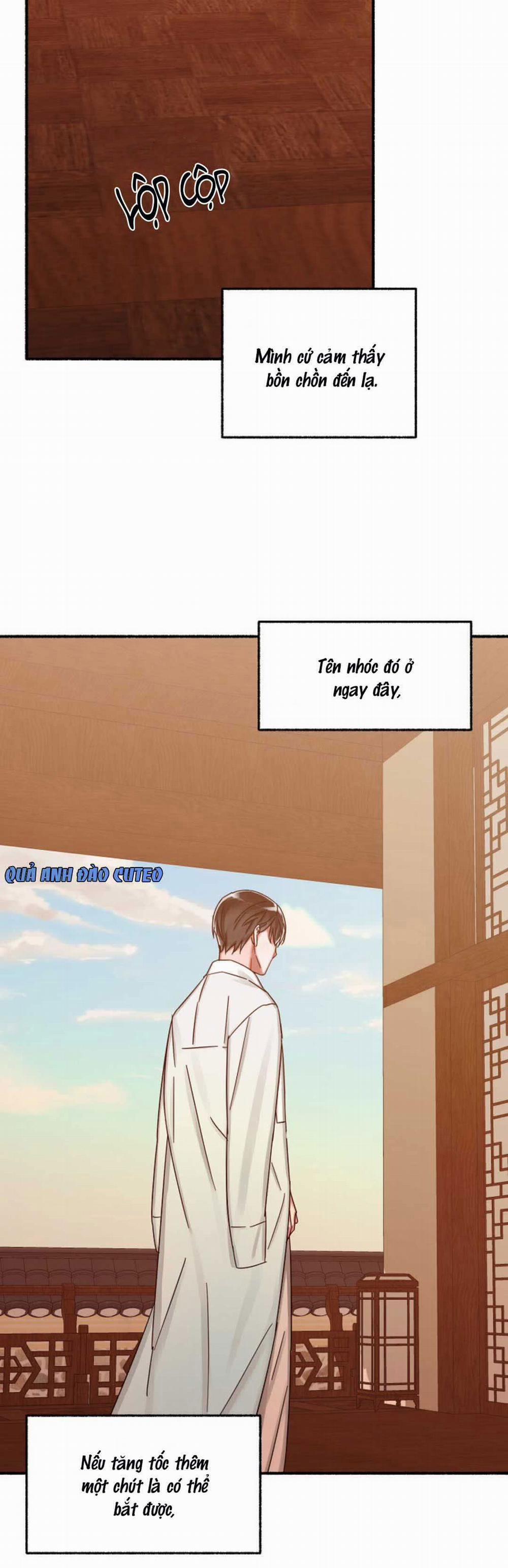 Hoa Triều 9 trang 26