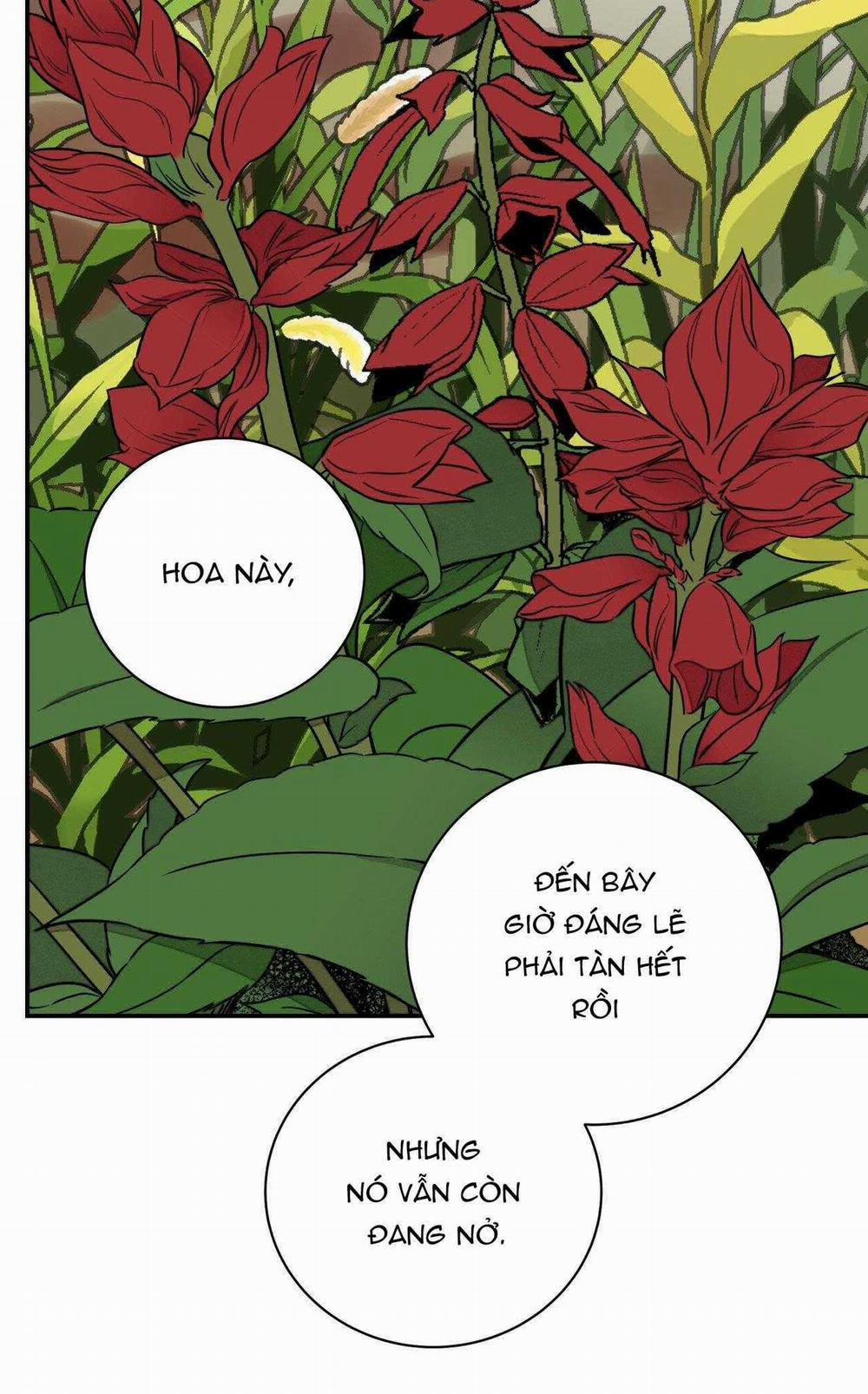 Hoa Và Gươm 70 trang 48