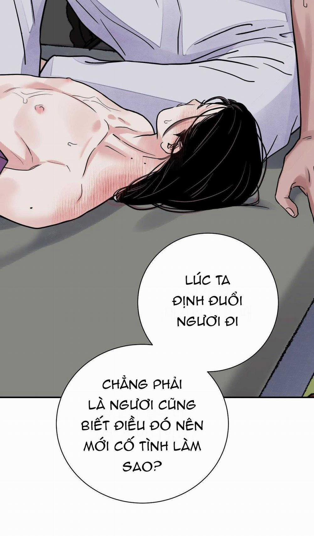 Hoa Và Gươm 78 trang 55