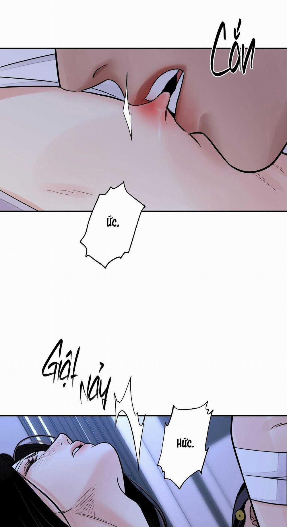 Hoa Và Gươm 83 trang 51