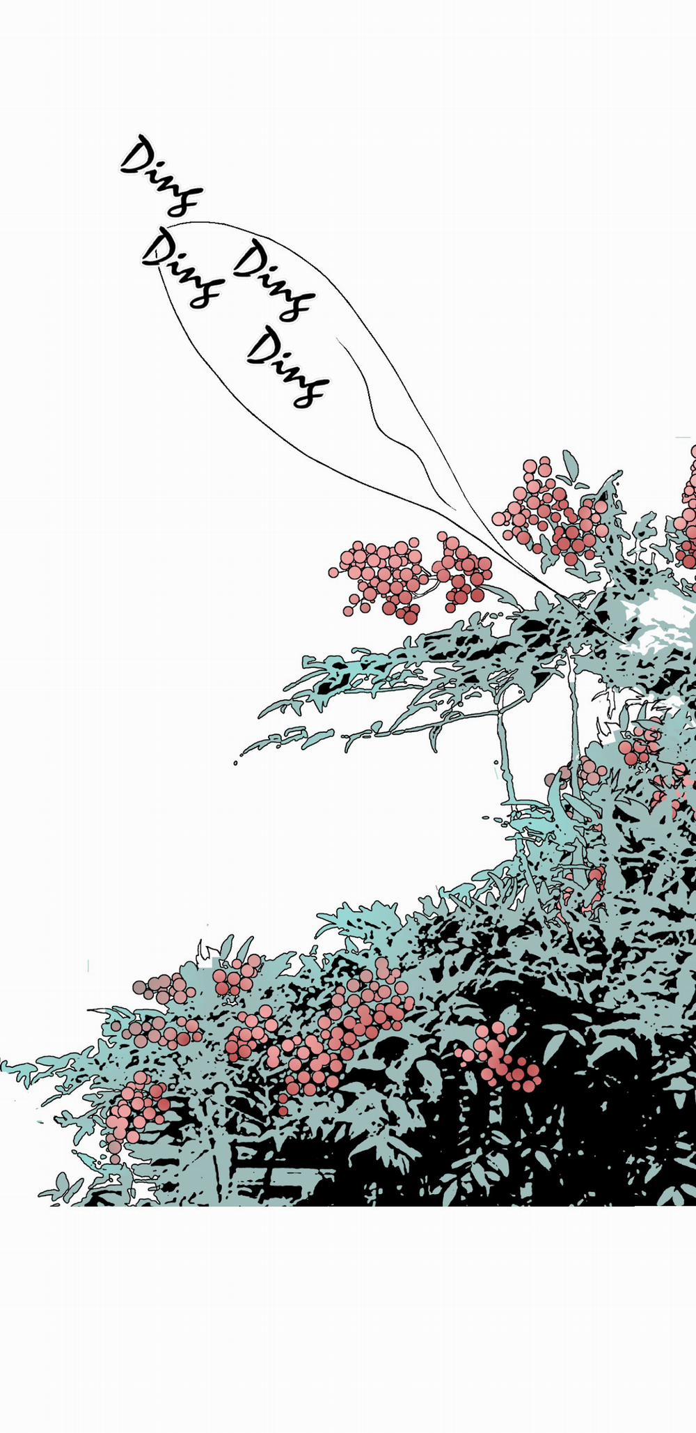 Hoa Vũ Dao 11 trang 27