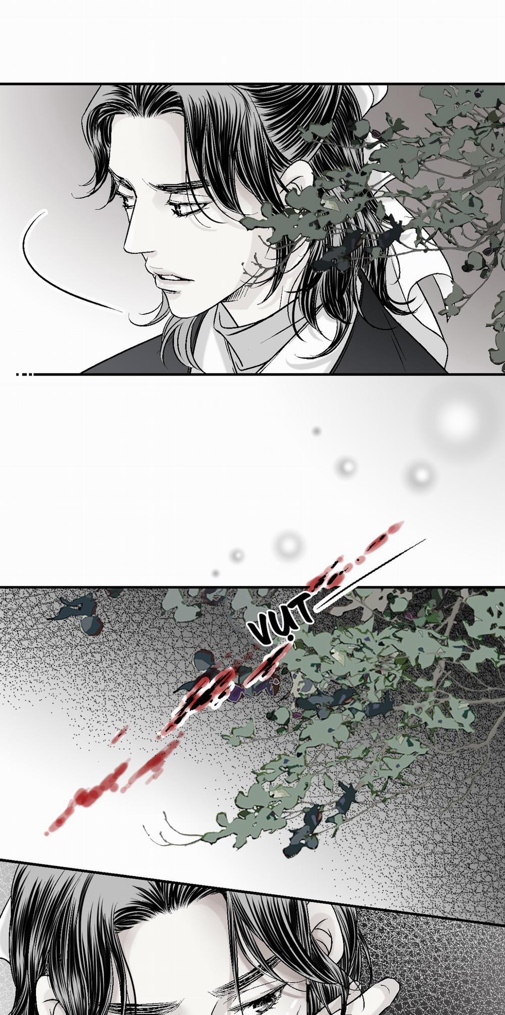 Hoa Vũ Dao 11 trang 44