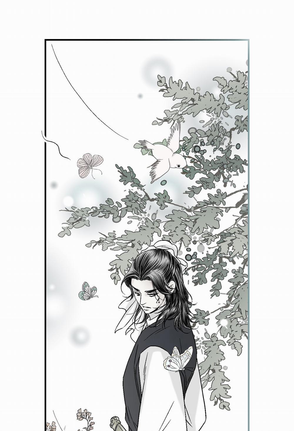 Hoa Vũ Dao 11 trang 53